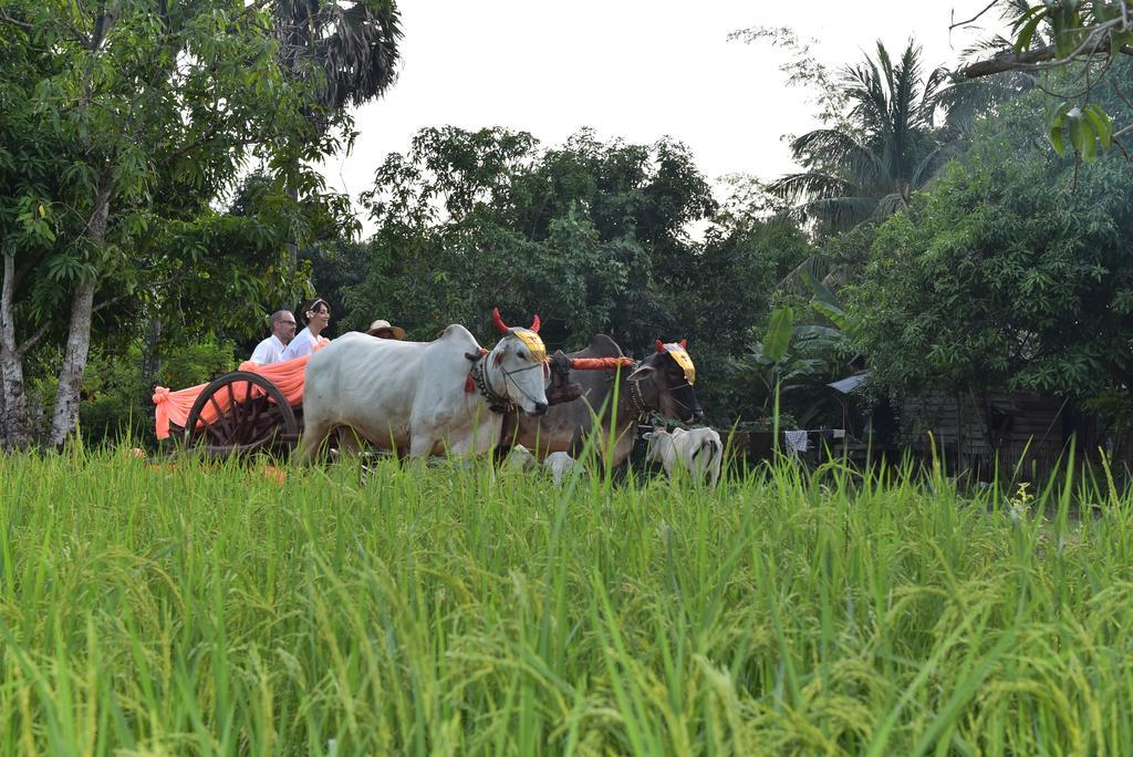 Angkor Rural Boutique Resort Σιέμ Ρέαπ Εξωτερικό φωτογραφία