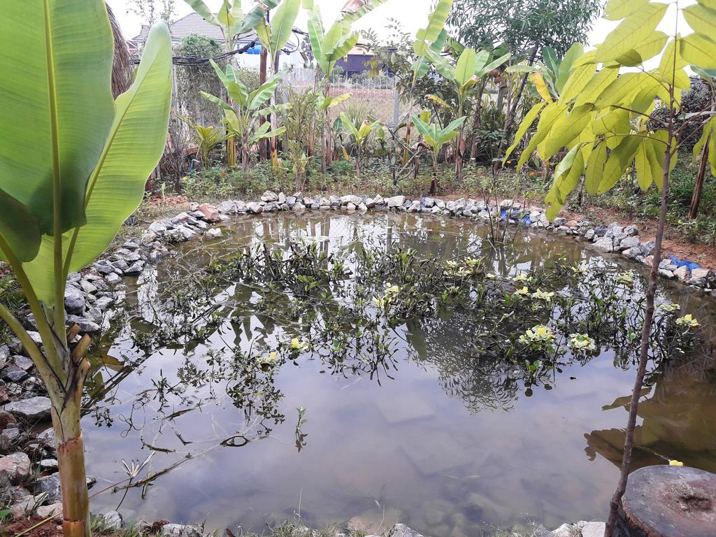 Angkor Rural Boutique Resort Σιέμ Ρέαπ Εξωτερικό φωτογραφία