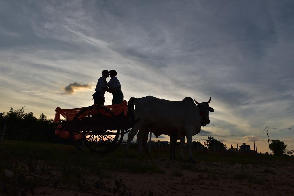 Angkor Rural Boutique Resort Σιέμ Ρέαπ Εξωτερικό φωτογραφία