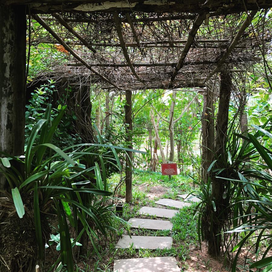 Angkor Rural Boutique Resort Σιέμ Ρέαπ Εξωτερικό φωτογραφία