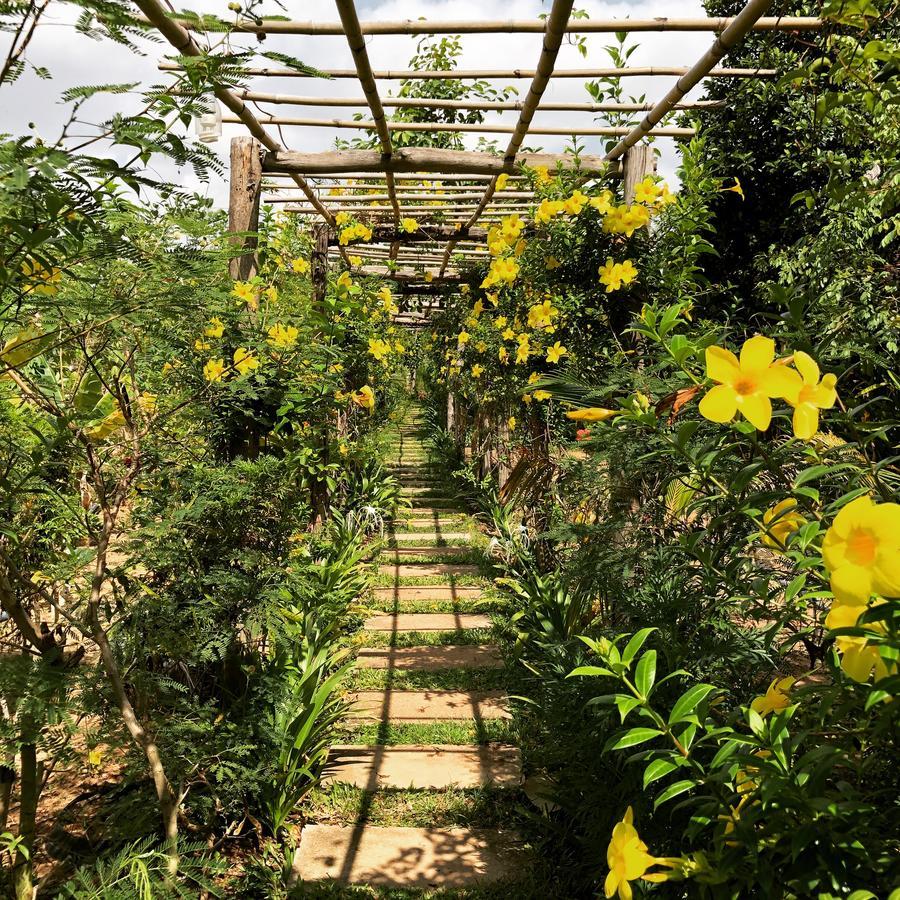 Angkor Rural Boutique Resort Σιέμ Ρέαπ Εξωτερικό φωτογραφία